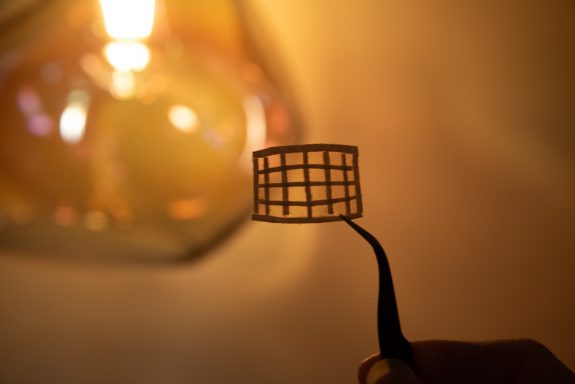 Windows and doors back lit for night time